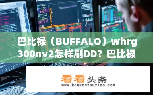 巴比禄（BUFFALO）whrg300nv2怎样刷DD？巴比禄whrg300nv2如何刷DD攻略？
