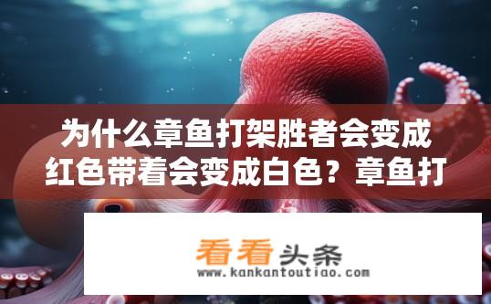 为什么章鱼打架胜者会变成红色带着会变成白色？章鱼打架变色之谜，胜者为何变红，败者为何变白？