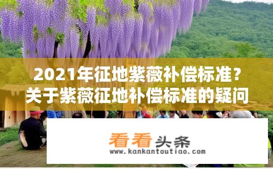 2021年征地紫薇补偿标准？关于紫薇征地补偿标准的疑问？