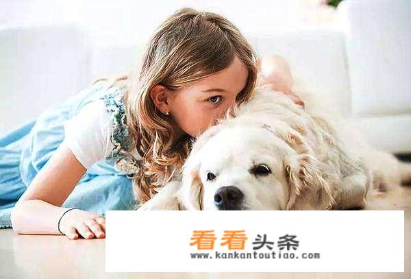 如何成为称职的宠物主人？
