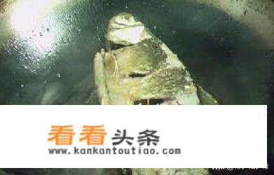 家常鲫鱼的做法？