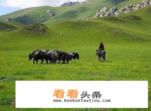 去甘南旅游一般都去哪几个景点，自驾是不是更好？