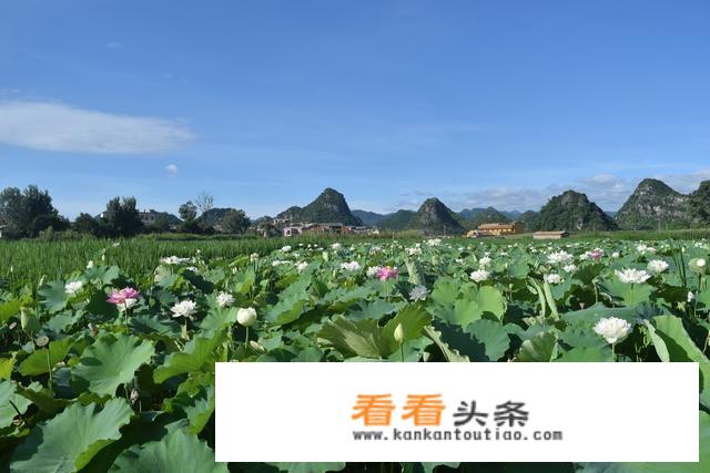 云南65岁免门票景区有哪些？