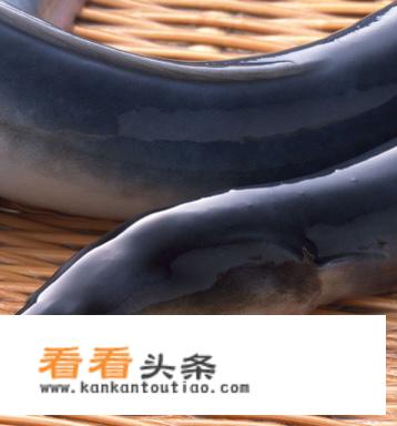 鳗鱼图片和营养价值？