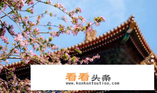 从北京出发去云南最佳攻略路线？