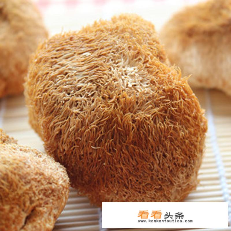 经常吃猴头菇有什么效果，真的养胃吗？
