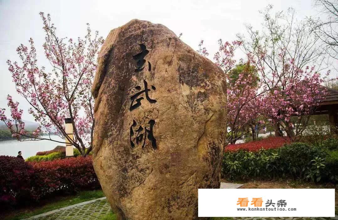 1月份广西适合去哪里旅游？