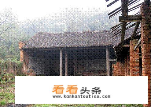 谁知道手绘墙画利润如何？