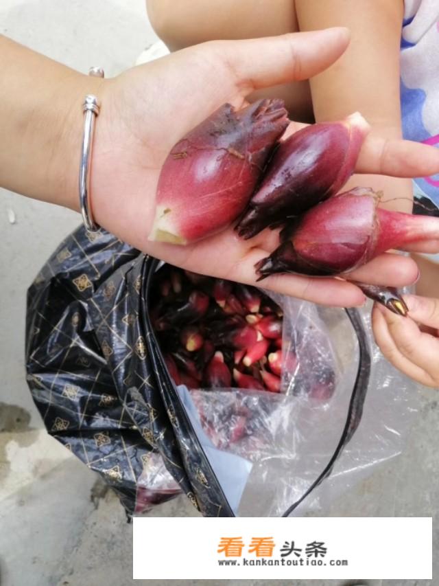 洋姜的种植方法？