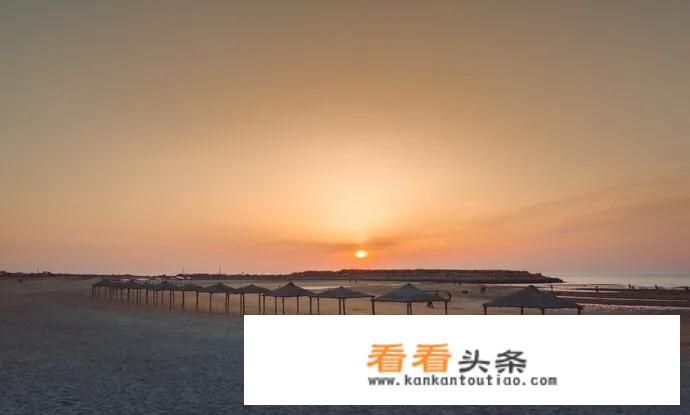 5月位于山东的什么地方？