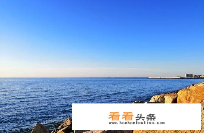 5月位于山东的什么地方？