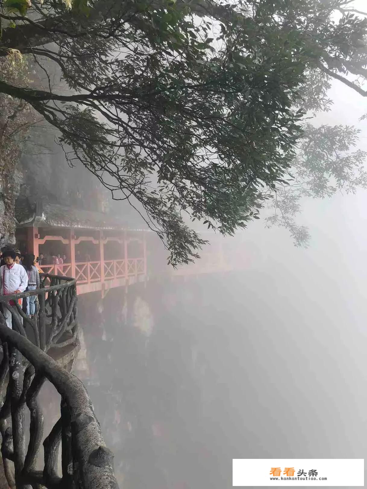 重庆去张家界旅游路线？
