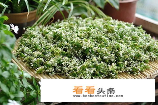 蒙古族韭菜花的腌制方法？