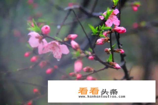 上海最好的本地牛奶？