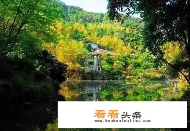 重庆周边有哪些比较精致的民宿？
