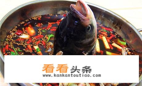 美蛙鱼头火锅怎么腌制？