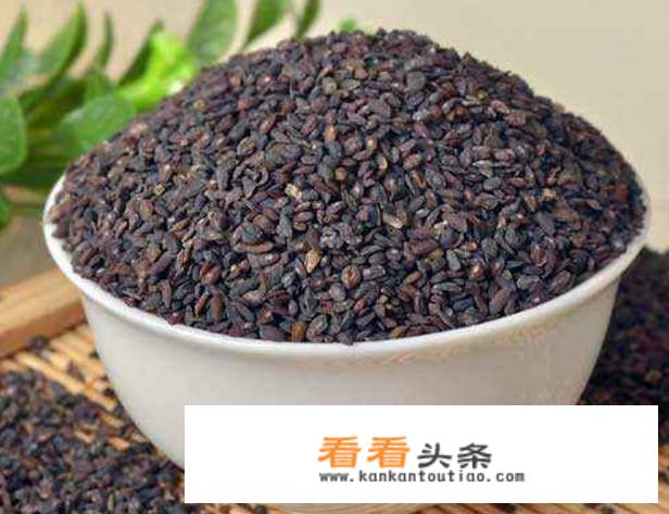 车前子的作用和功效是什么？