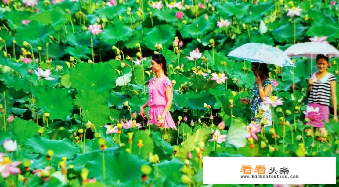 南充南部县旅游景点有哪些？