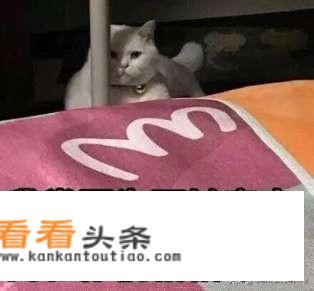 穿越小说中穿越成刚生下的婴儿的有哪些？