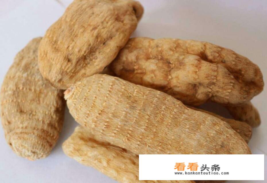 我是四川的，居住地海拔800米，想咨询一下能种植些什么药材？