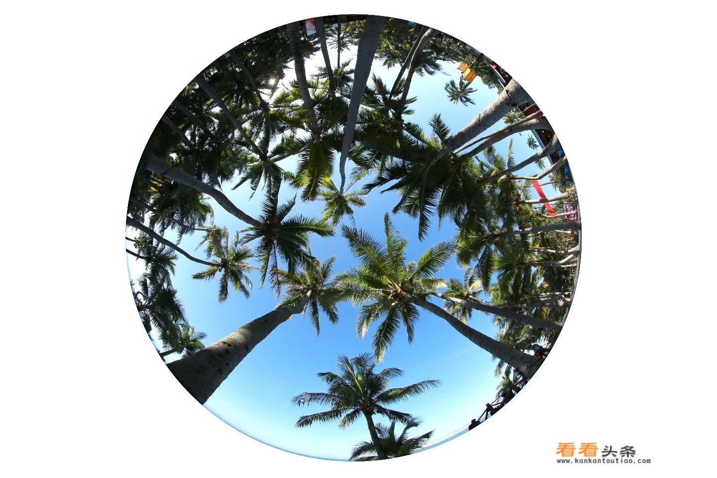 12月海南三亚旅游攻略？