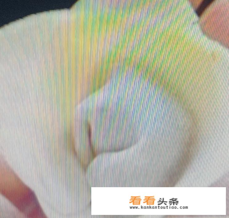 馄饨用圆饼怎么包？