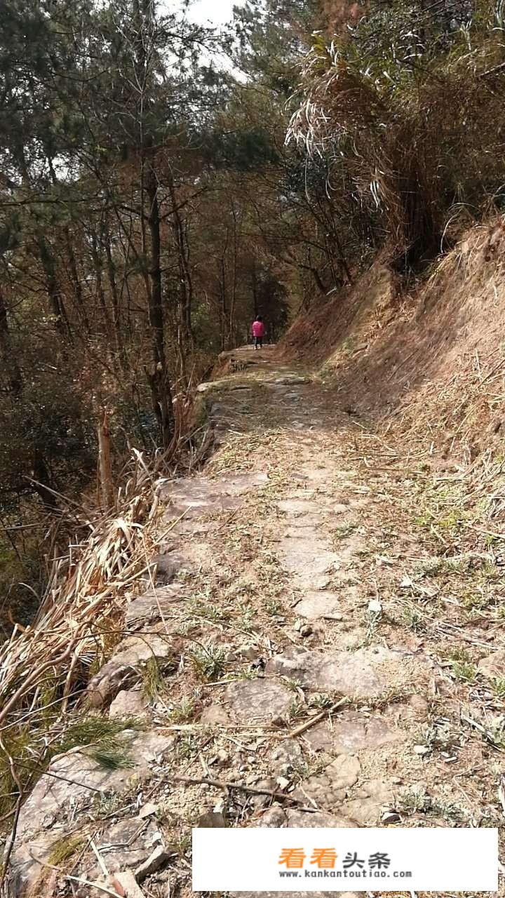 一个旅游团租车出游，平均每人应付车费30元，后来增加了8人，这样每人应付的车费是24元，租车费是多？