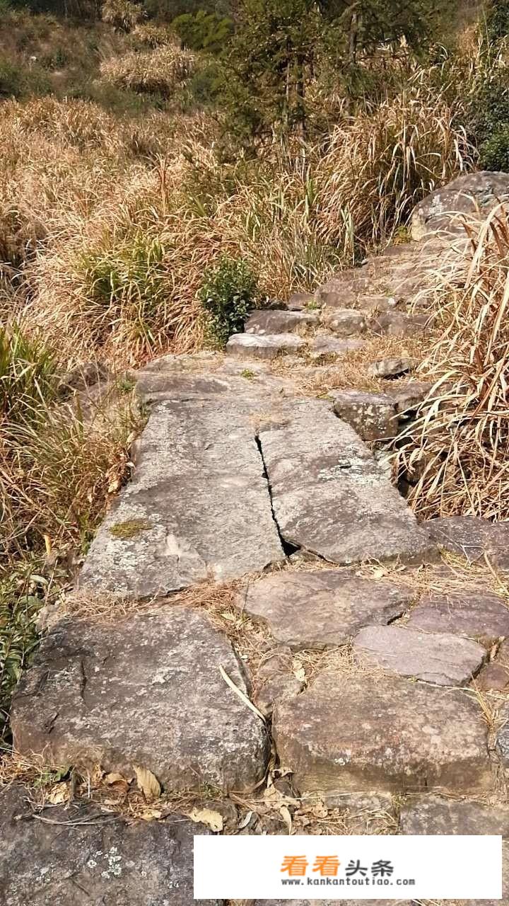 一个旅游团租车出游，平均每人应付车费30元，后来增加了8人，这样每人应付的车费是24元，租车费是多？