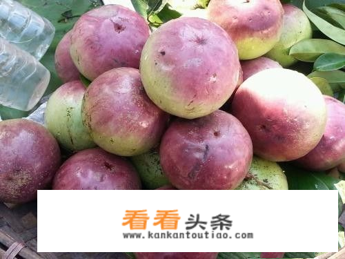 牛奶果的正确吃法？