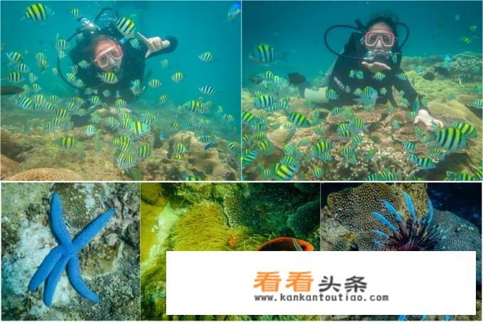 海南自驾游必去十大古镇？
