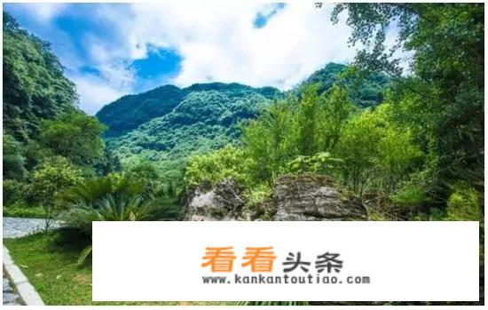 我国的国家级自然保护区现在共有多少个？还有？
