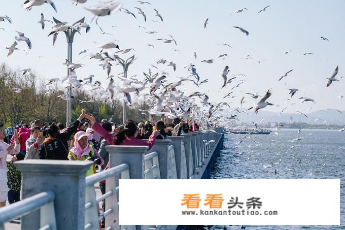 冬天想带家人去云南旅游，大概10天，求攻略？