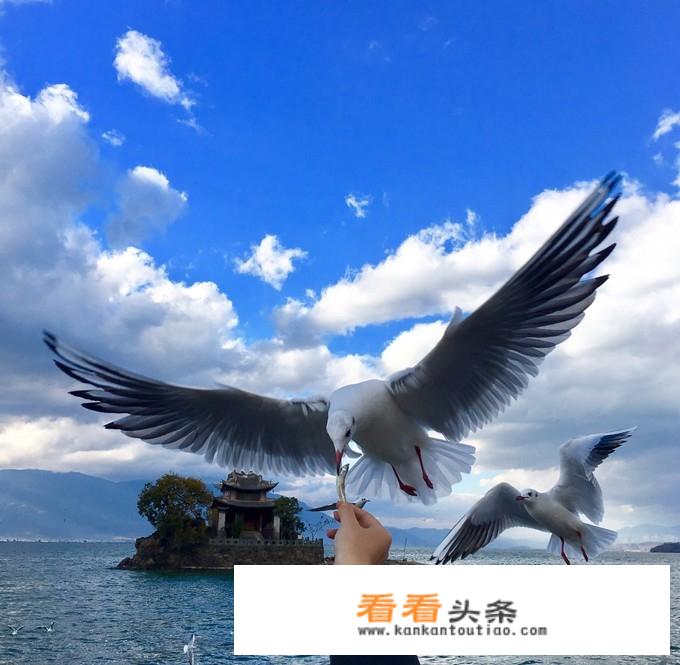 冬天想带家人去云南旅游，大概10天，求攻略？