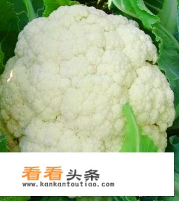光青菜怎么做？