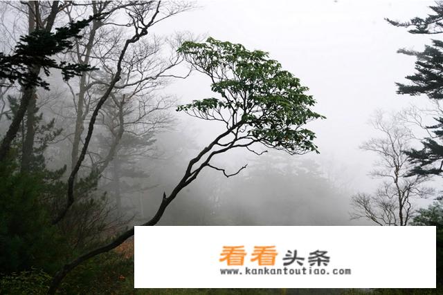 过年期间去哪里旅游比较好？
