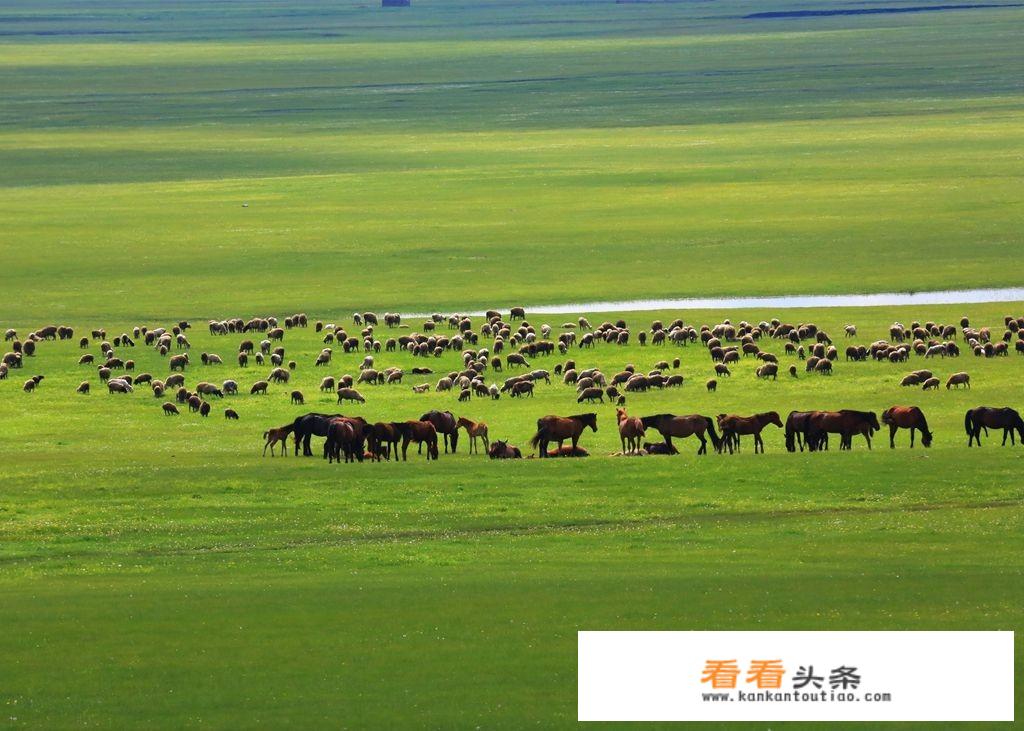呼伦贝尔的更佳旅游季节是什么时候？