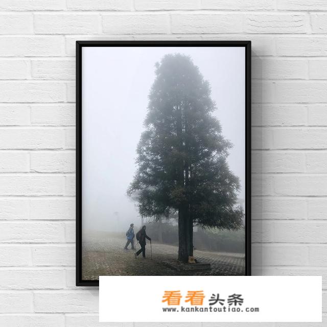出去旅游每天都刷一次朋友圈让人讨厌吗？