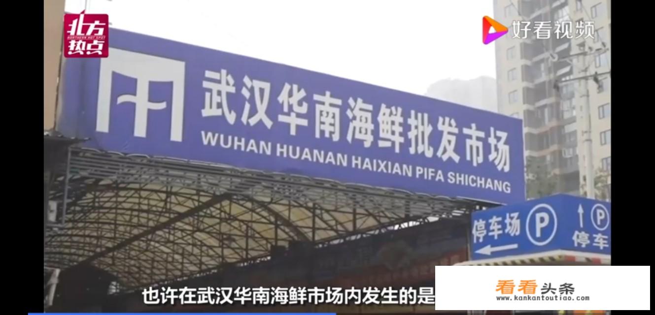 廉江樱花公园离百信国际广场多远？