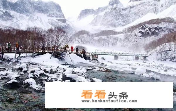 过年跟旅游团去哈尔滨要多少费用？