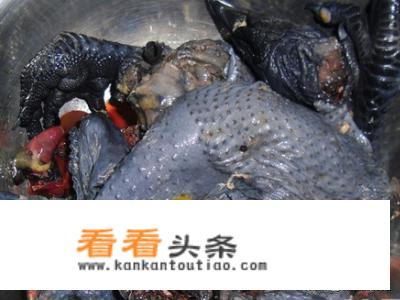 怎样自制补血益气乌鸡汤？