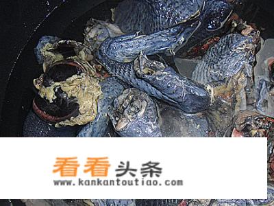 怎样自制补血益气乌鸡汤？