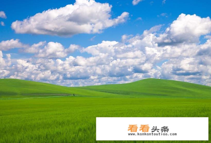 摩尔庄园有多少道菜？