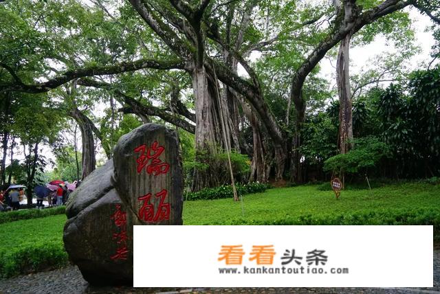 去云南旅游不购物行吗？