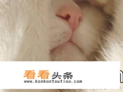 emmmm代表啥意思？