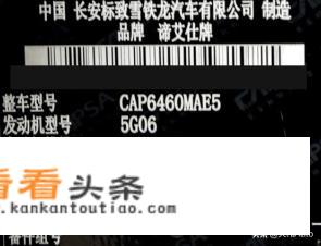 ds开头的是什么suv？