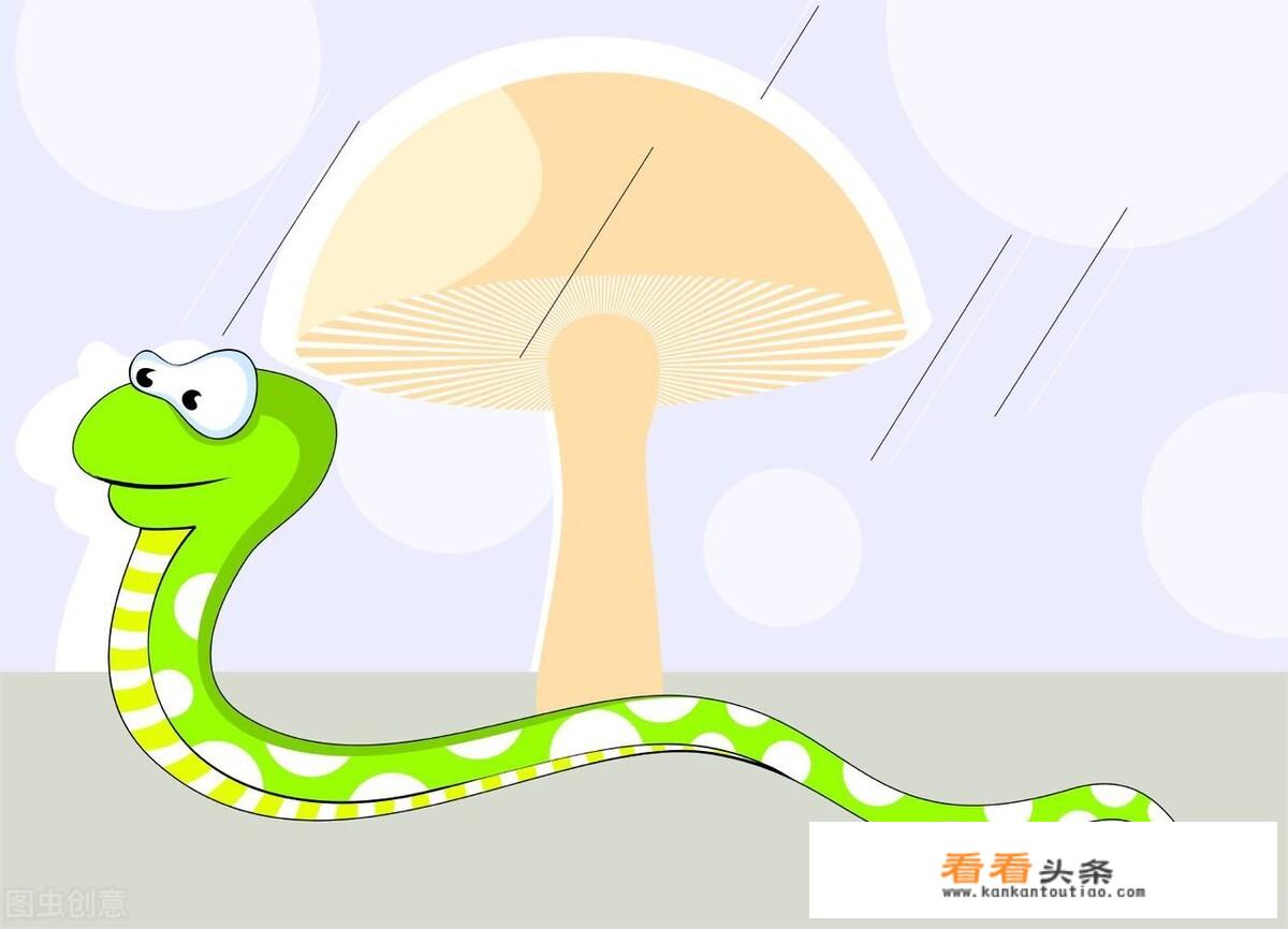 如果人类把蛇灭绝了会怎样？
