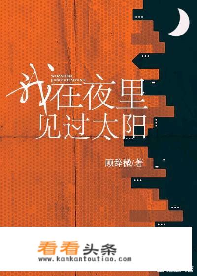 主角叫林升的小说？