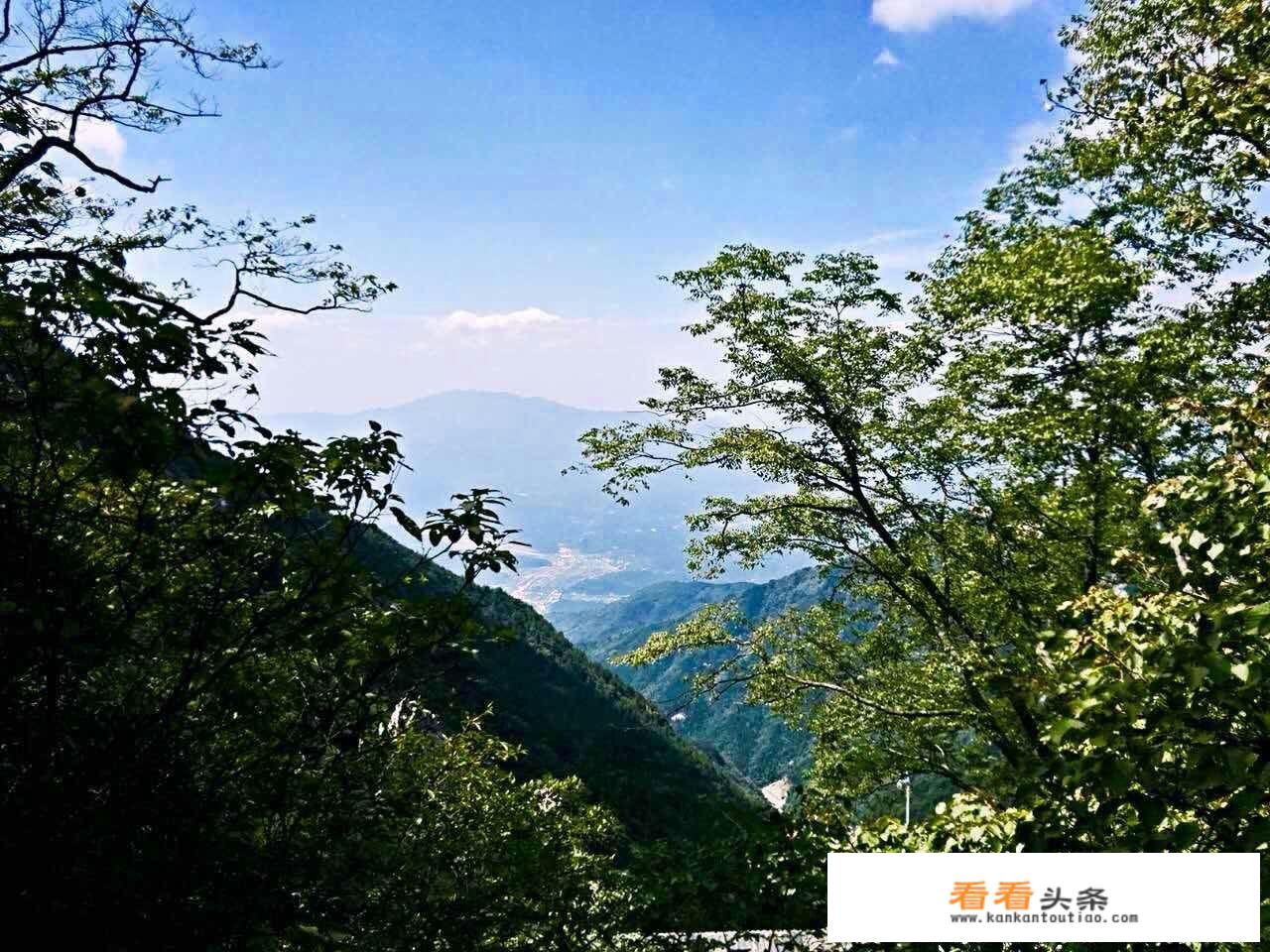 武汉旅游年卡哪个好？