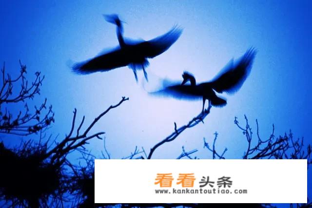 《硅谷禁书》既然解禁了，为什么看过的人还有那么多的困惑和失败？