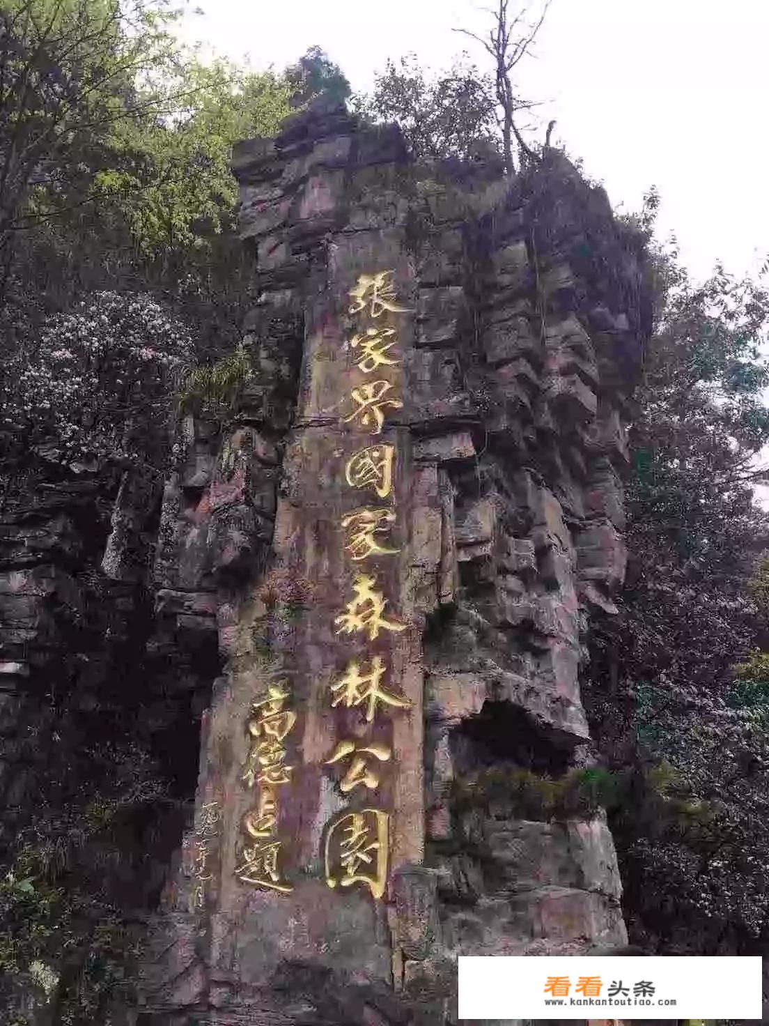 张家界旅游五天四晚旅游费用？
